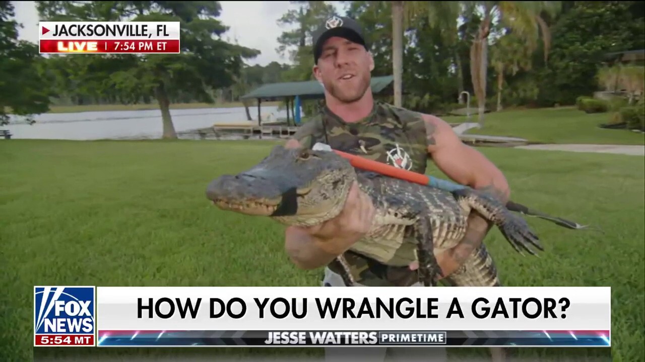 Veteran that wrestled 10-foot gator cautions residents: Get away as quick as you can