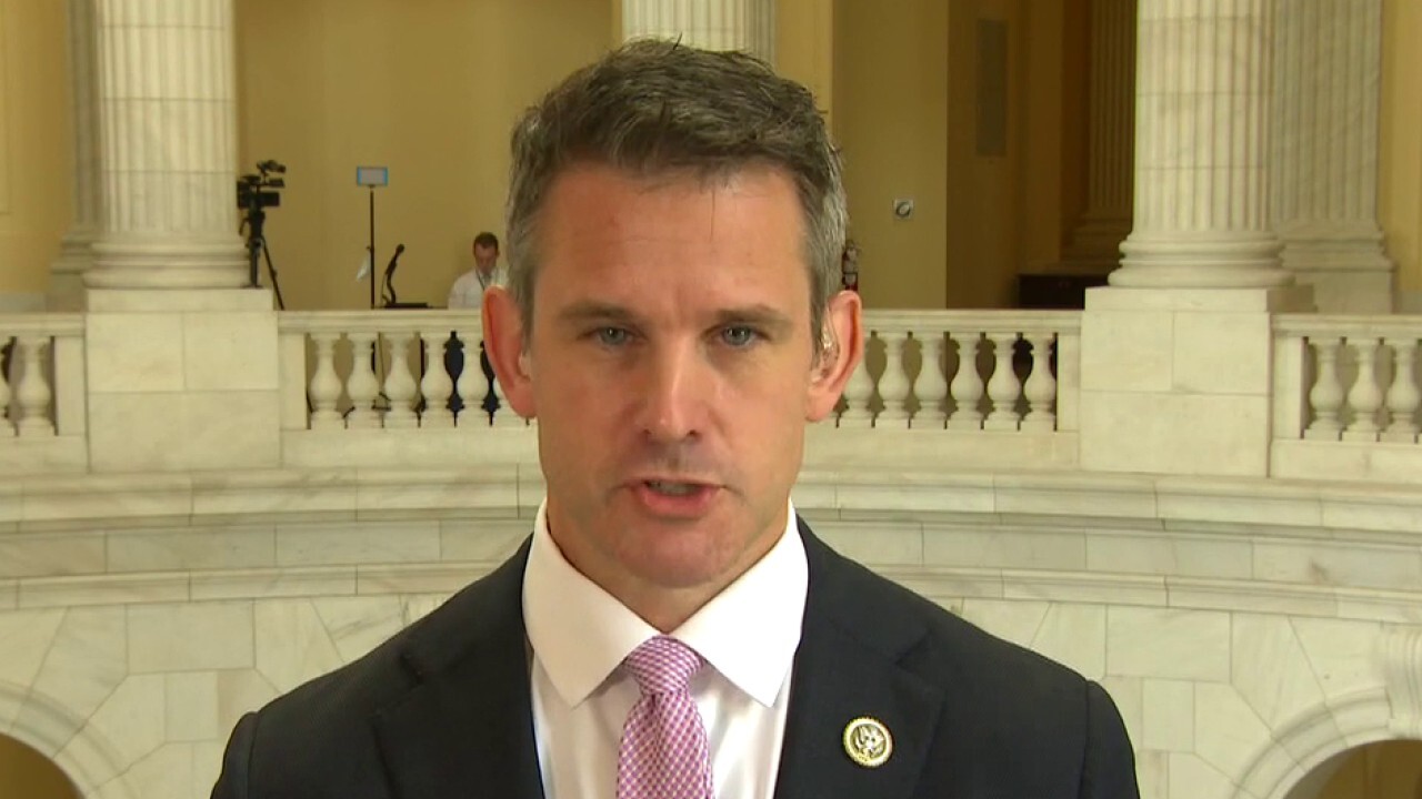 Kinzinger: Political motive behind Russian bounty leaks, not at point ...