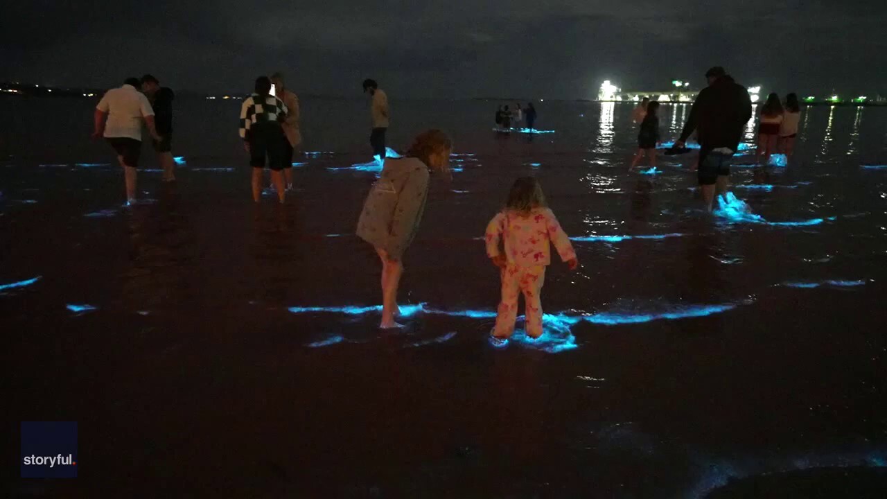 SEE IT! Ocean water glows in the dark