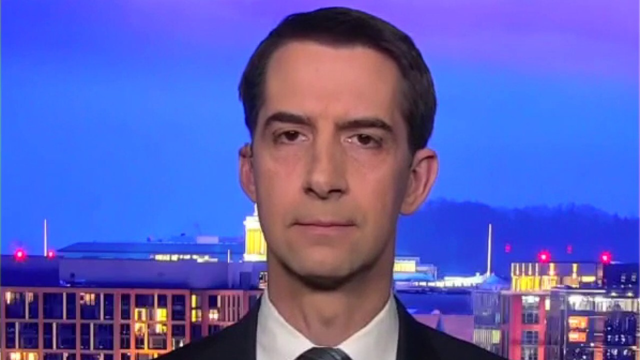 Cotton: Democrats are being 'sore winners' ahead of Biden inauguration