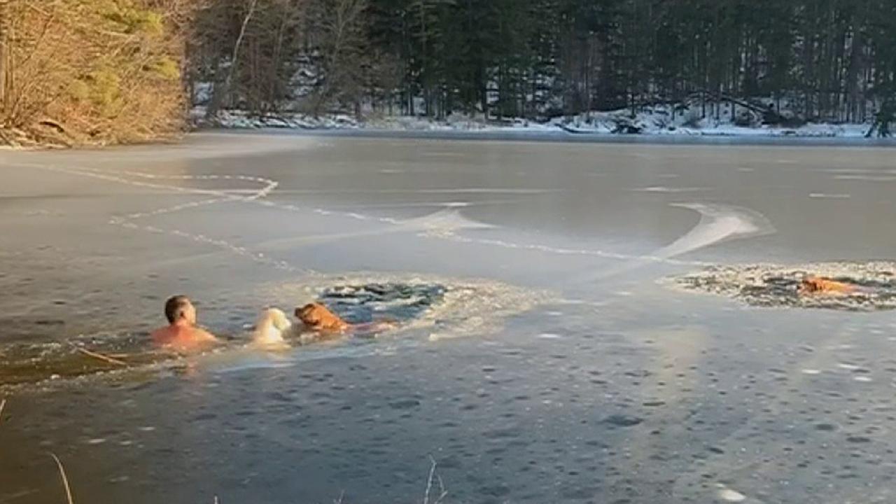 Raw video: Shirtless man dives into frozen New York lake to rescue two stranded dogs