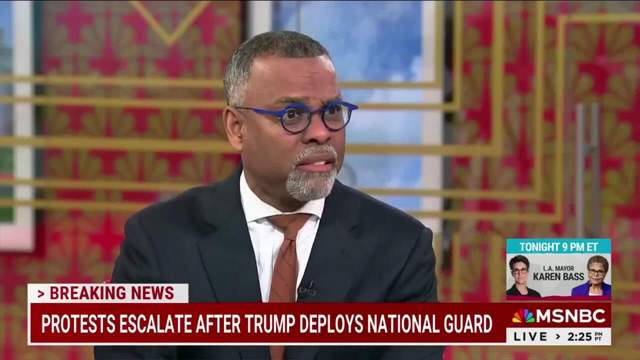 MSNBC commentator claims 'dark' Trump supporters enjoy watching ICE act like 'slave catchers'