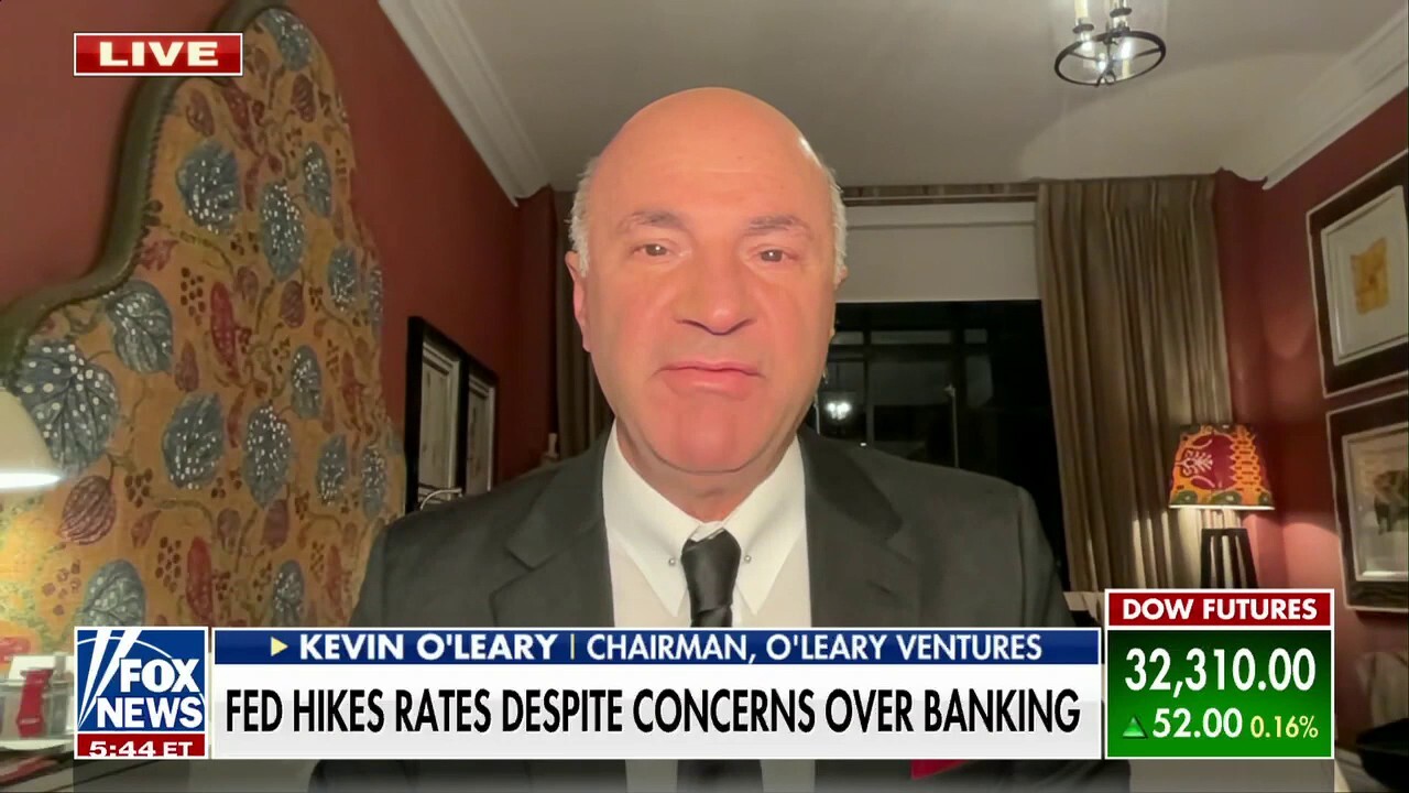 Kevin O'Leary: Never elect a politician that hasn't run a business and made payroll
