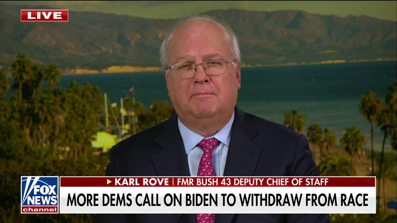 Jill Biden has ‘a huge influence’ on President Biden: Karl Rove