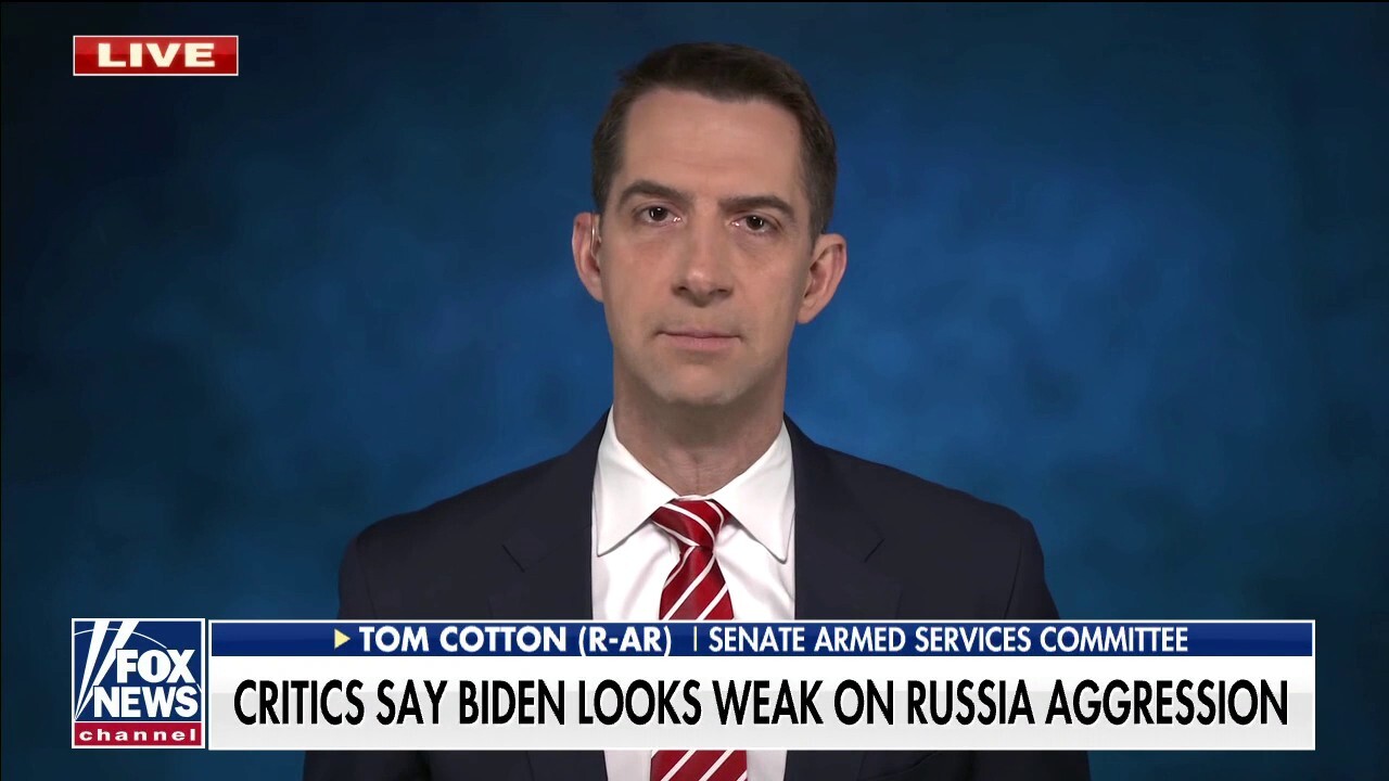 Biden's weakness contributed to the crisis in Eastern Europe: Sen. Cotton