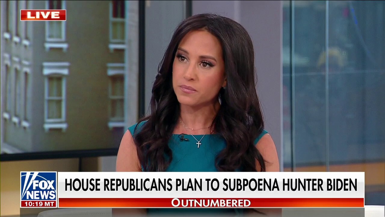 Emily Compagno: It's a 'shame’ liberal media, Democrats tried to cover up Hunter Biden information