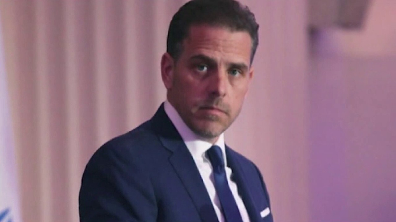 Devin Nunes: Hunter Biden art plan is 'outrageous' -- and 'the American people know it'