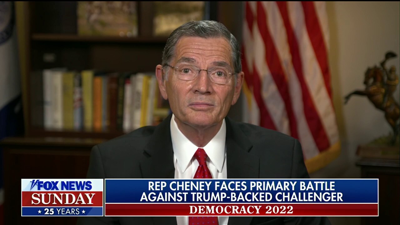 Sen. Barrasso: Liz Cheney has a 'lot of work to do' amid Trump-backed primary challenge
