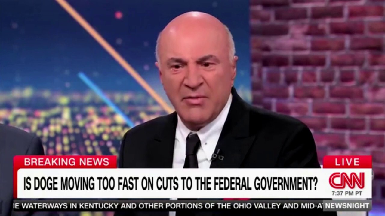 Kevin O'Leary: DOGE is not 'wacking enough' and must cut faster