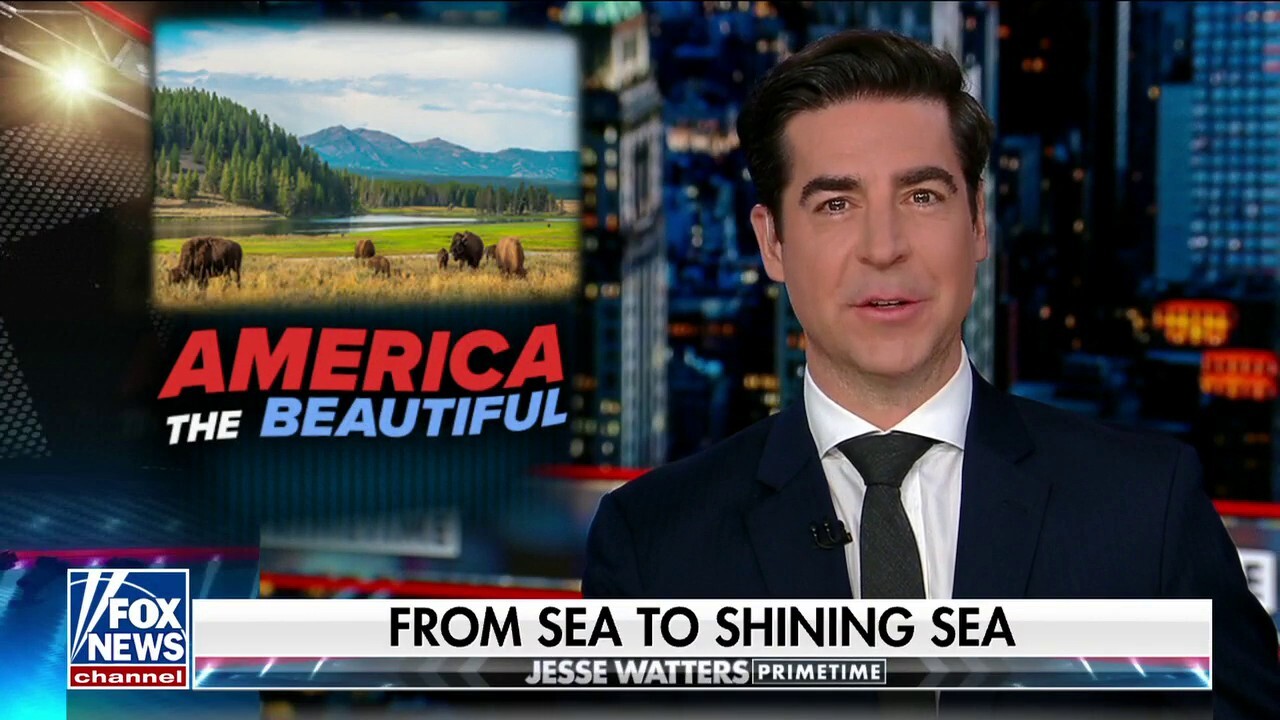 Jesse Watters: Biden could not have found a 7 mile stretch in Alaska to shoot down balloon?