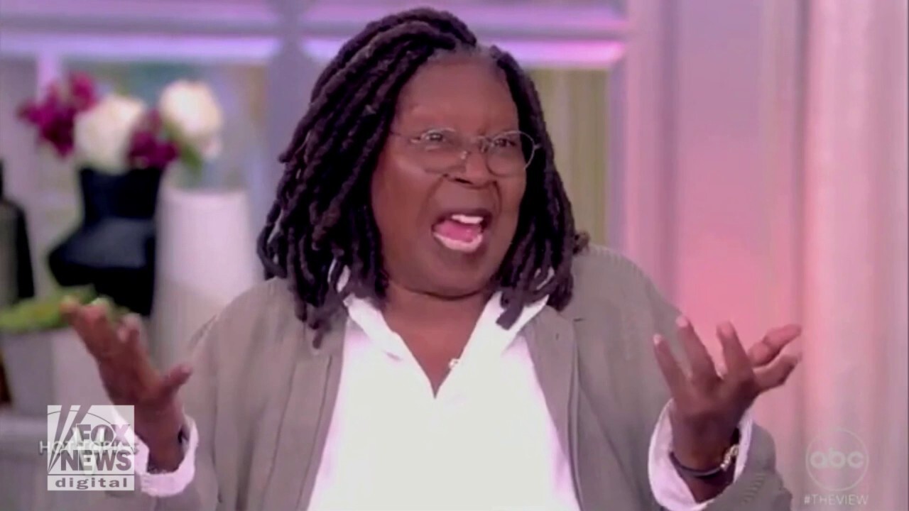 Whoopi Goldberg says immigration is a 'problem' because its been 'made into a brown people issue' 