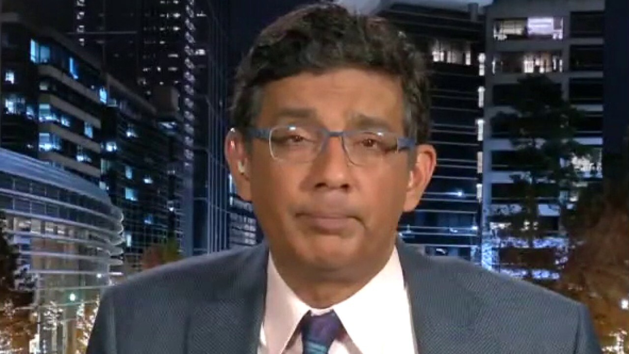 Dinesh D'Souza on why we should defund universities	
