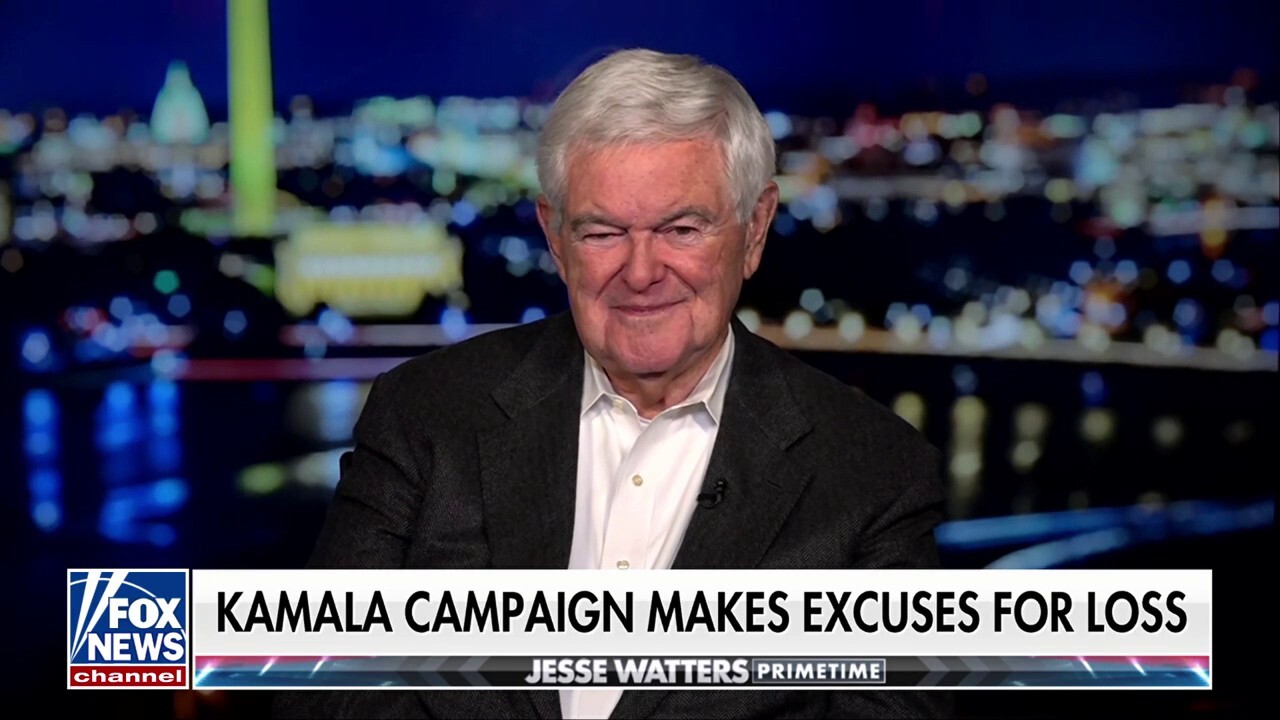 The 'great crisis' of the Democratic Party is their policies, says Newt Gingrich