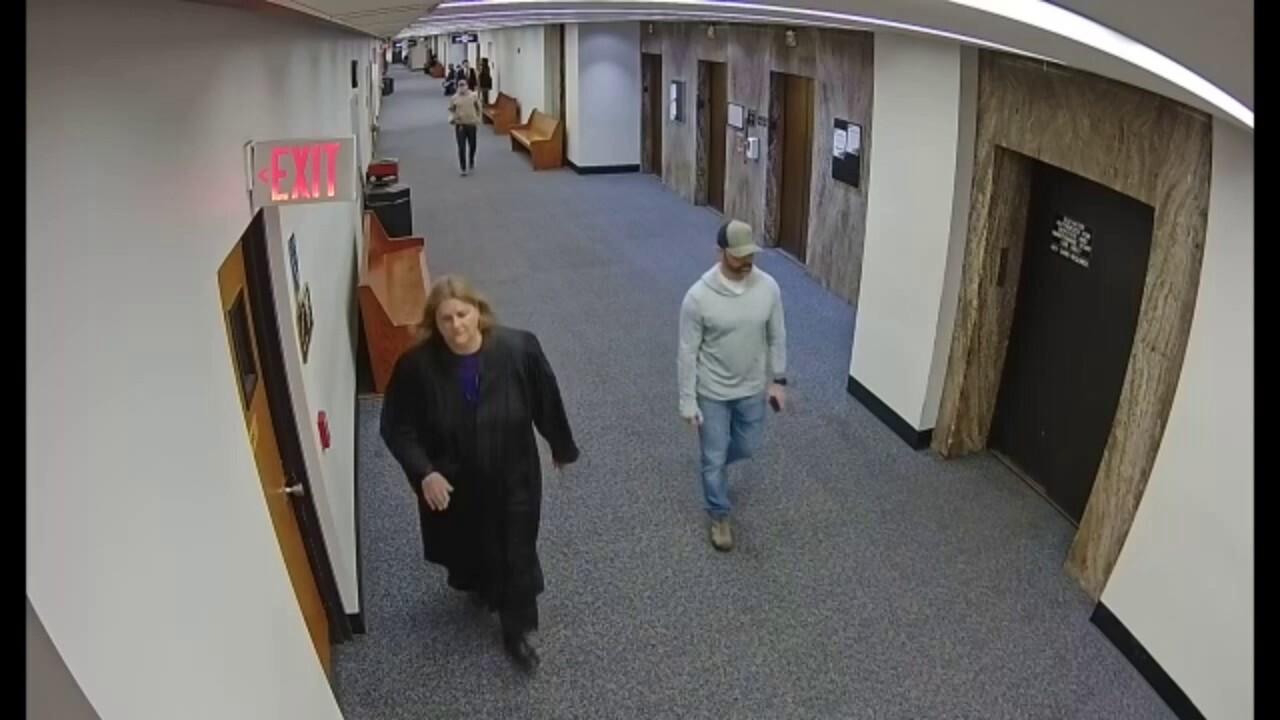 Wisconsin judge accused of helping illegal immigrant evade ICE seen allegedly distracting agents in new video