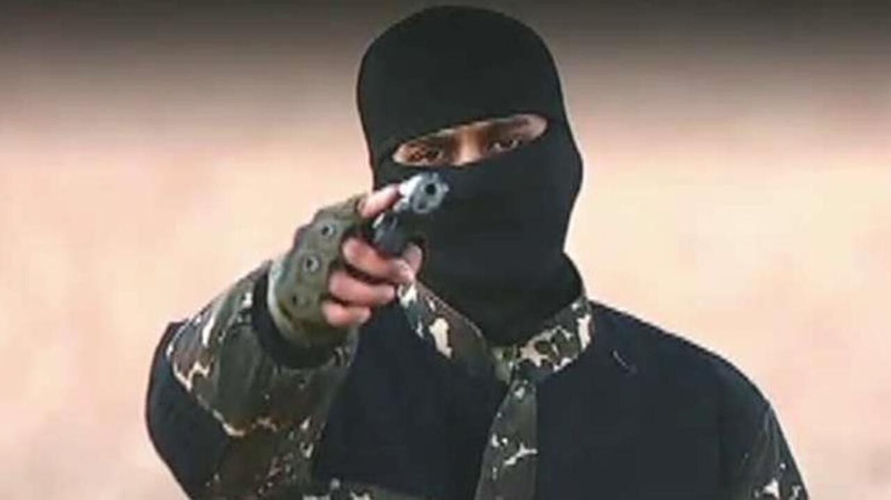 Nigel Farage: Virus of jihadism is stronger than we thought