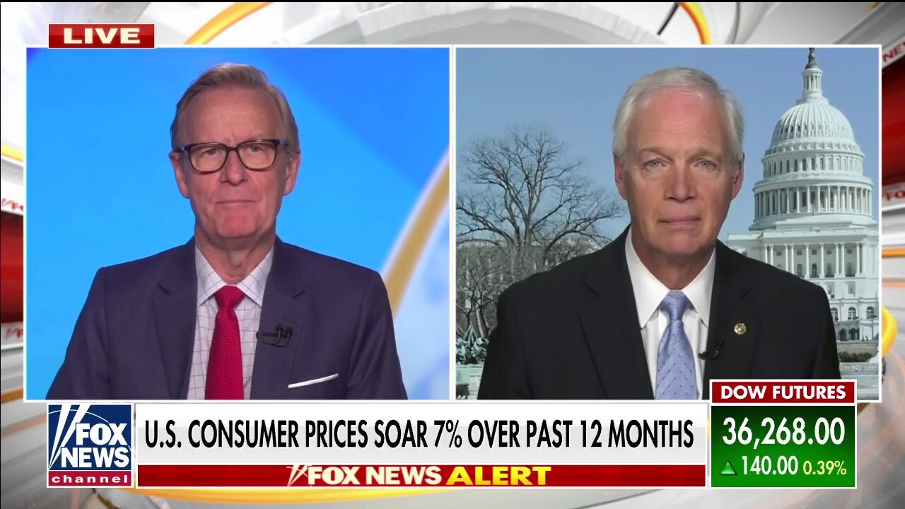 Sen. Ron Johnson says 'very dangerous' inflation pattern is caused by Democrat policies