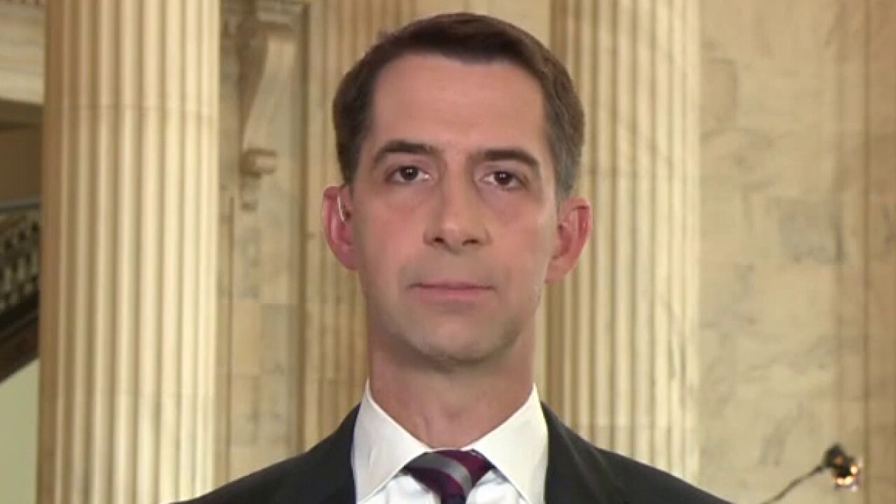 Sen. Cotton on Dems relationship with Iran: 'Always a good time to make a bad deal'