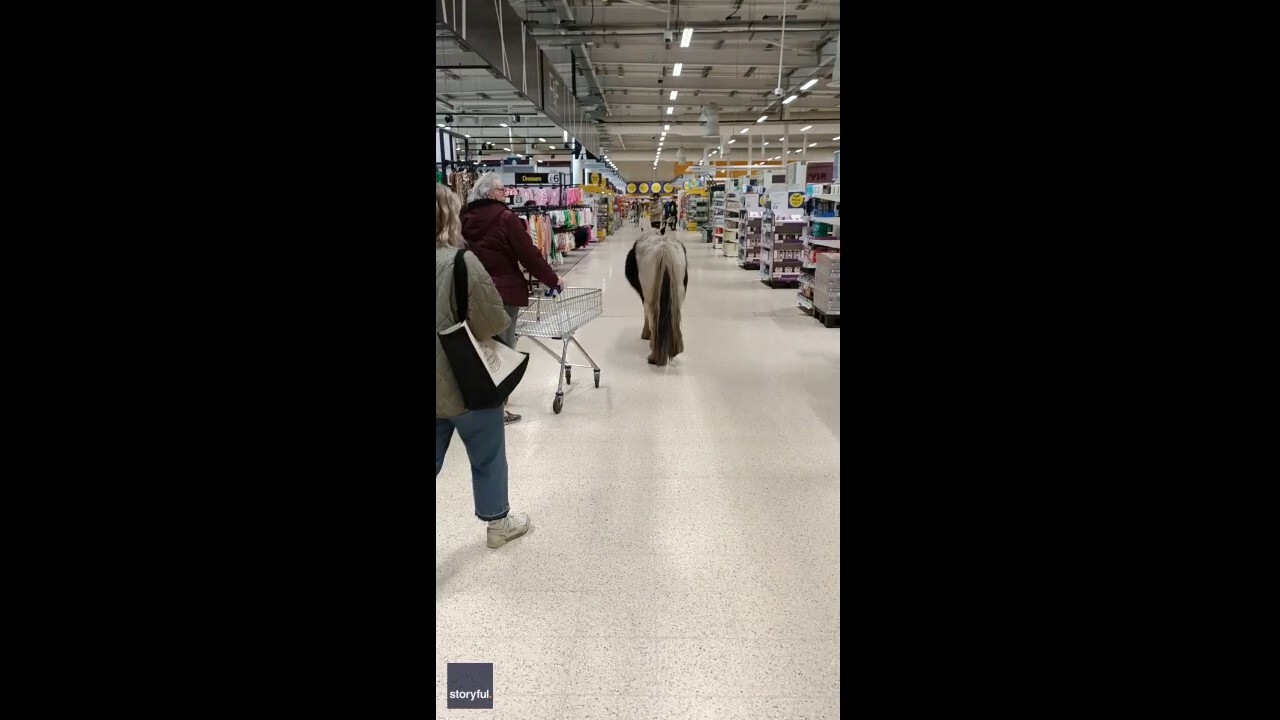 Horse wanders aisle of supermarket: See the bizarre video