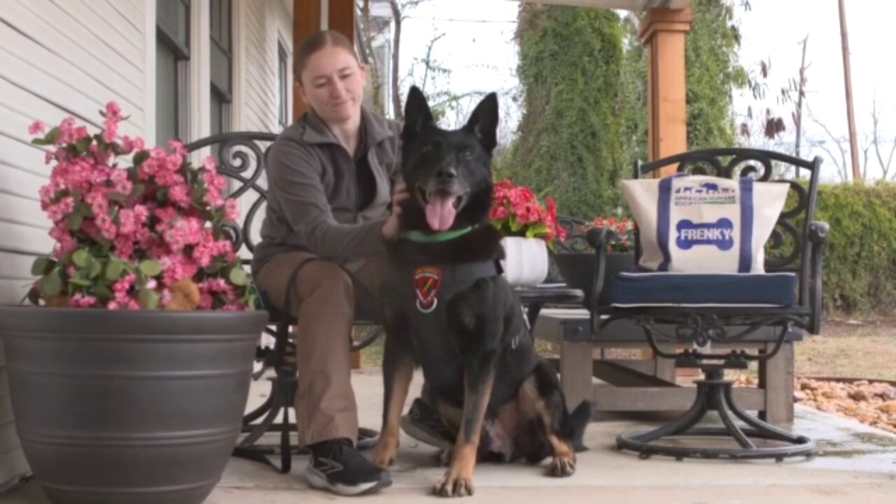 Retired Army K-9 'had a huge impact on my life' says reunited handler