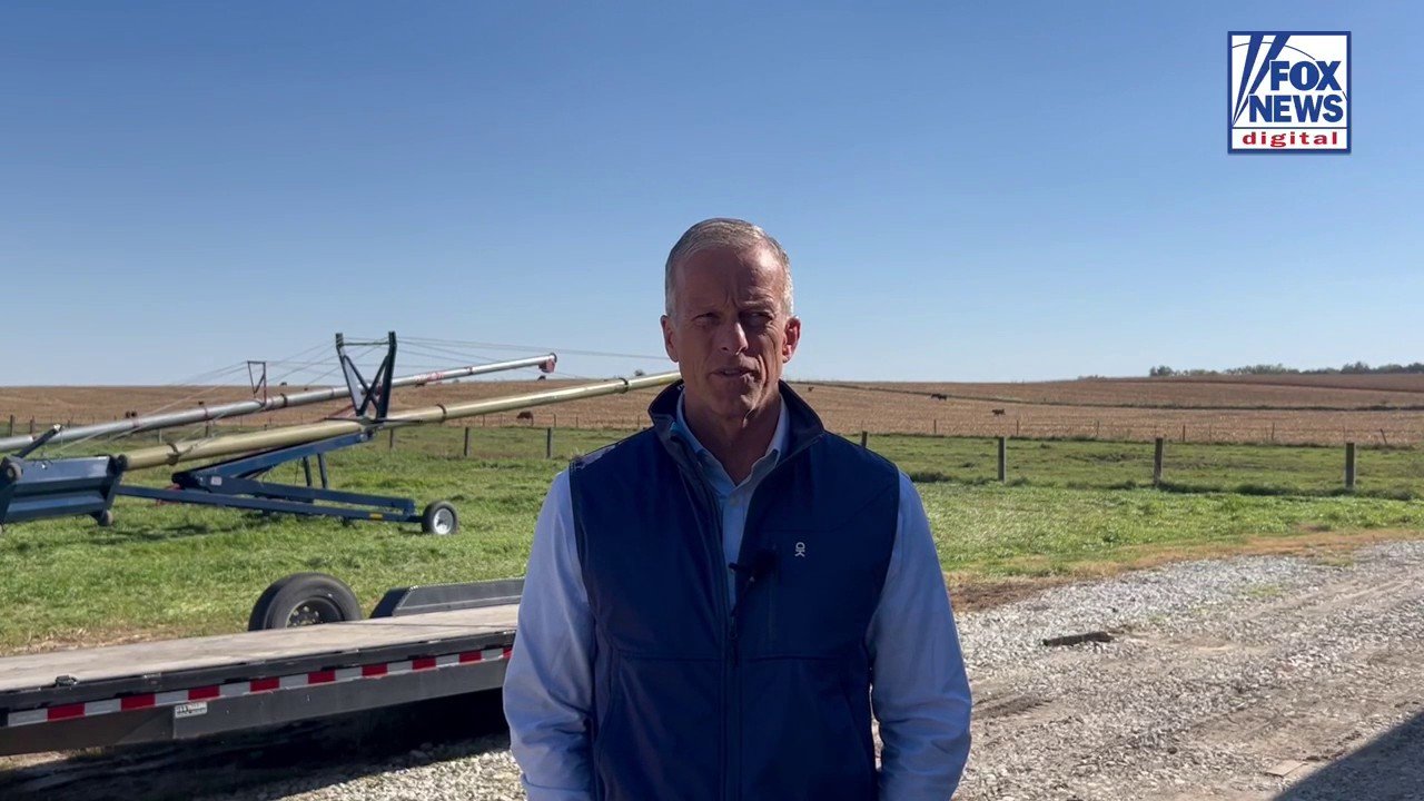 Thune campaigns across America while Schumer sits on sidelines, shunned by some of his own candidates