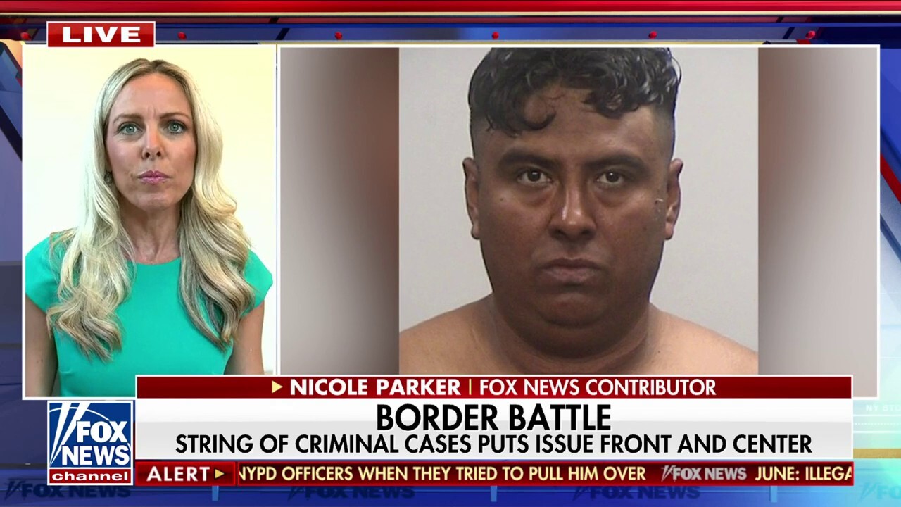 Law enforcement, military ‘extremely concerned’ over border: Nicole Parker