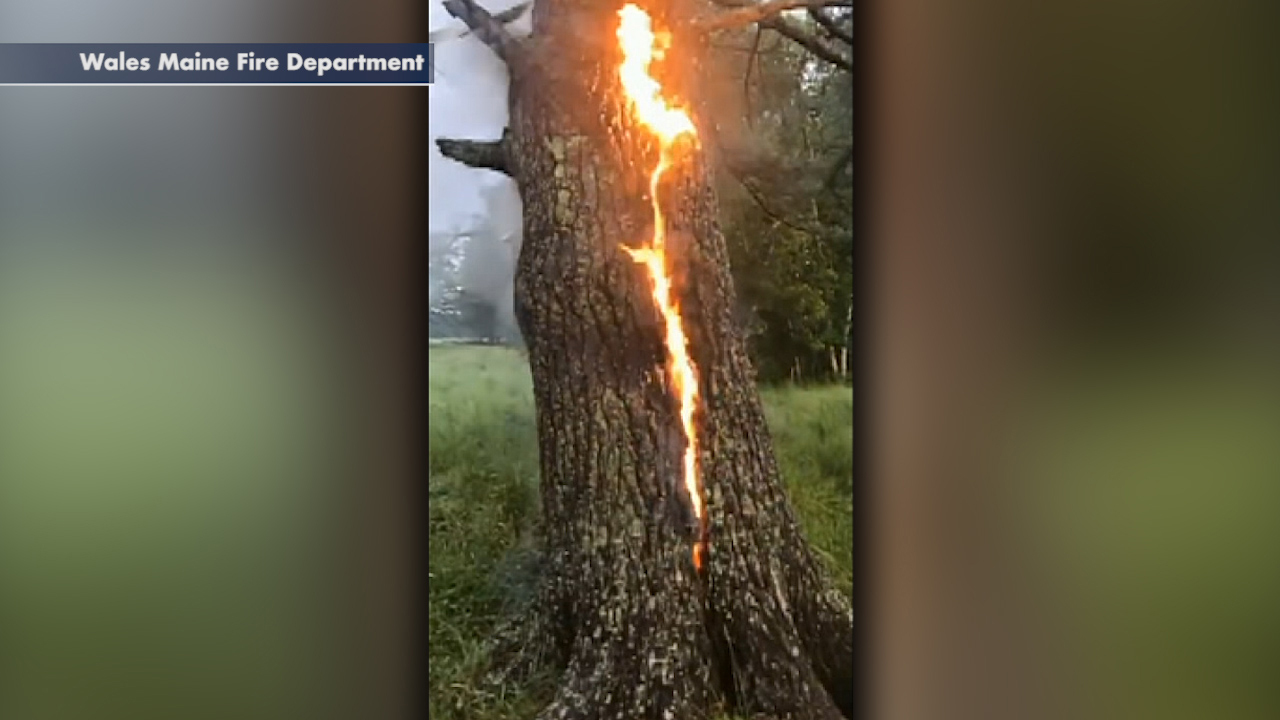 Lightning strike in Maine sets tree on fire as severe weather strikes  region | Fox News