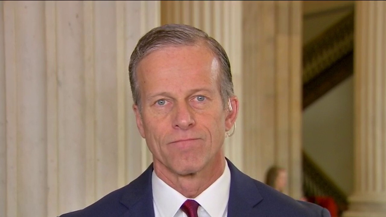 Where the governments COVID19 relief plan stands Fox News Video