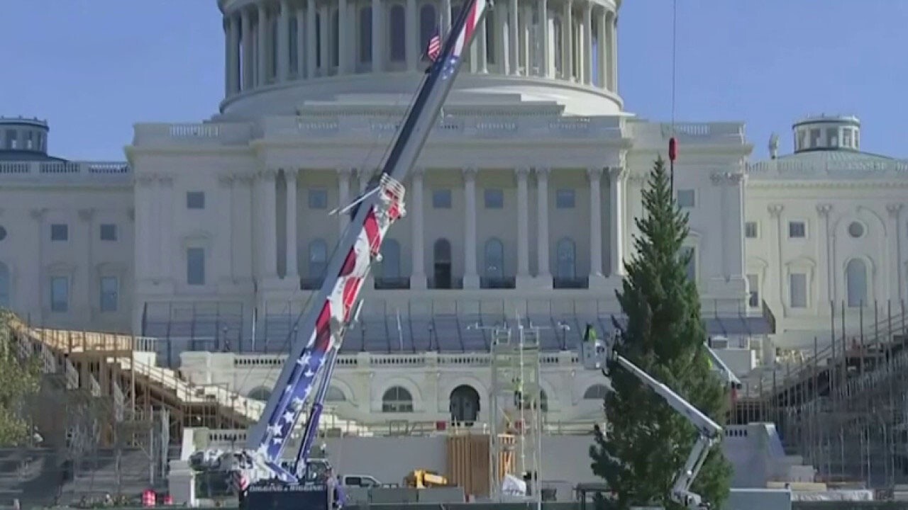 Christmas tree delivered to US Capitol