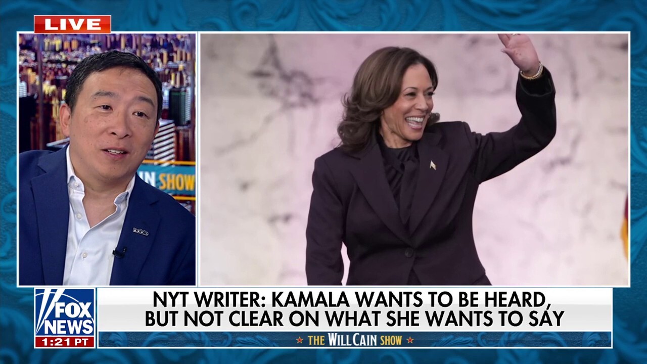 Dems’ biggest problem is the long wait for new leadership: Andrew Yang