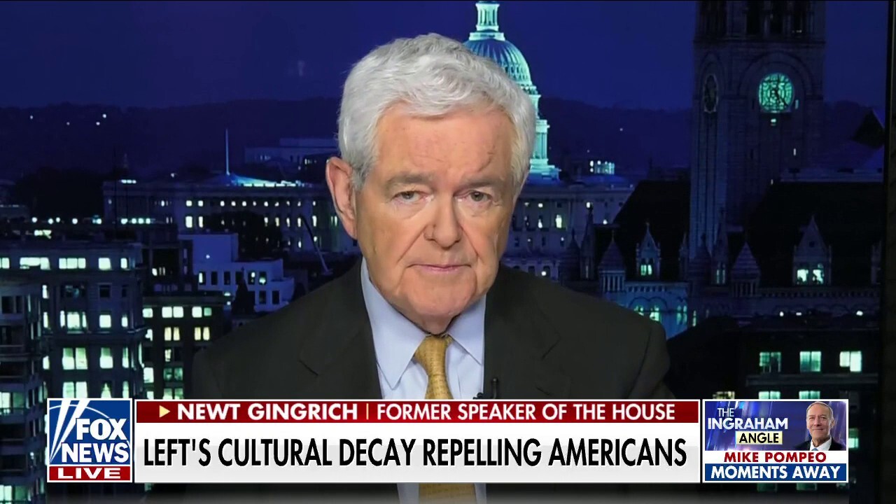 Gingrich: This civics bill is an 'open invitation' to create 'totalitarian, left-wing mindset'