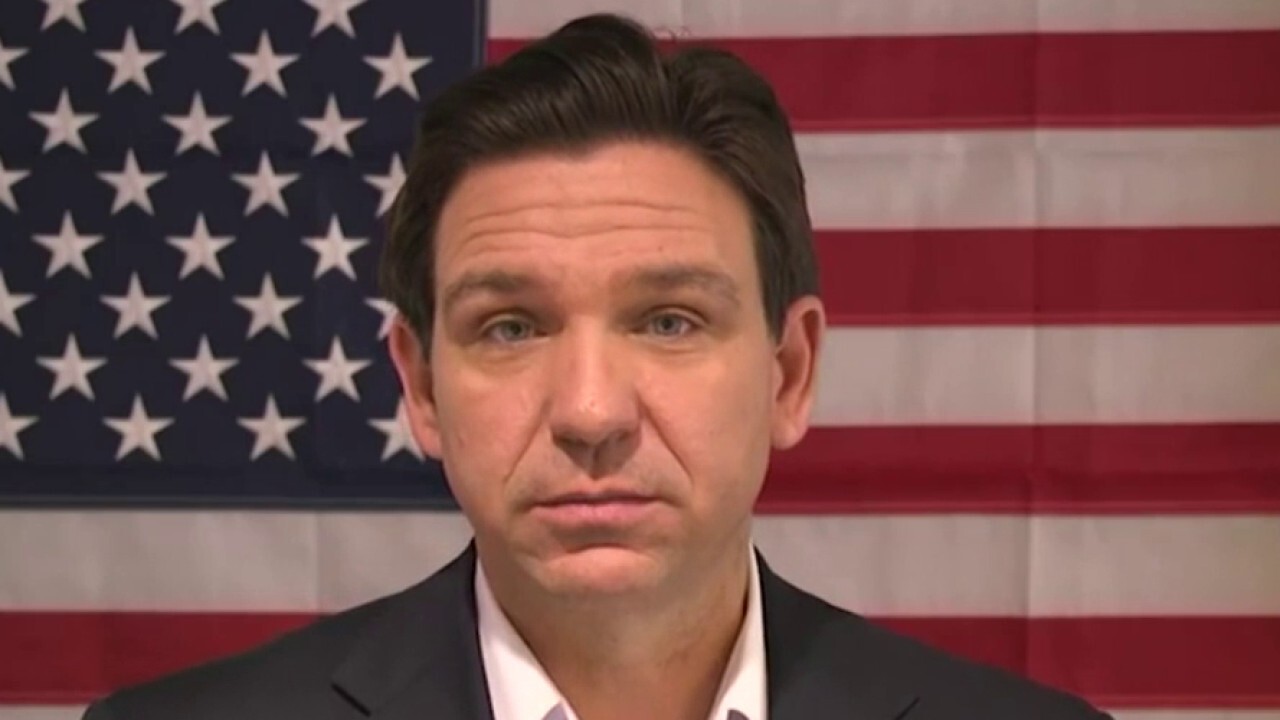 DeSantis: Florida is 'leaning in big time' to secure US border