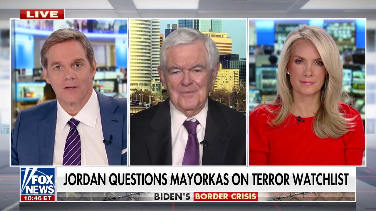 Gingrich: Border crisis ‘profoundly’ changing US politics as Latino voters abandon Democrat Party