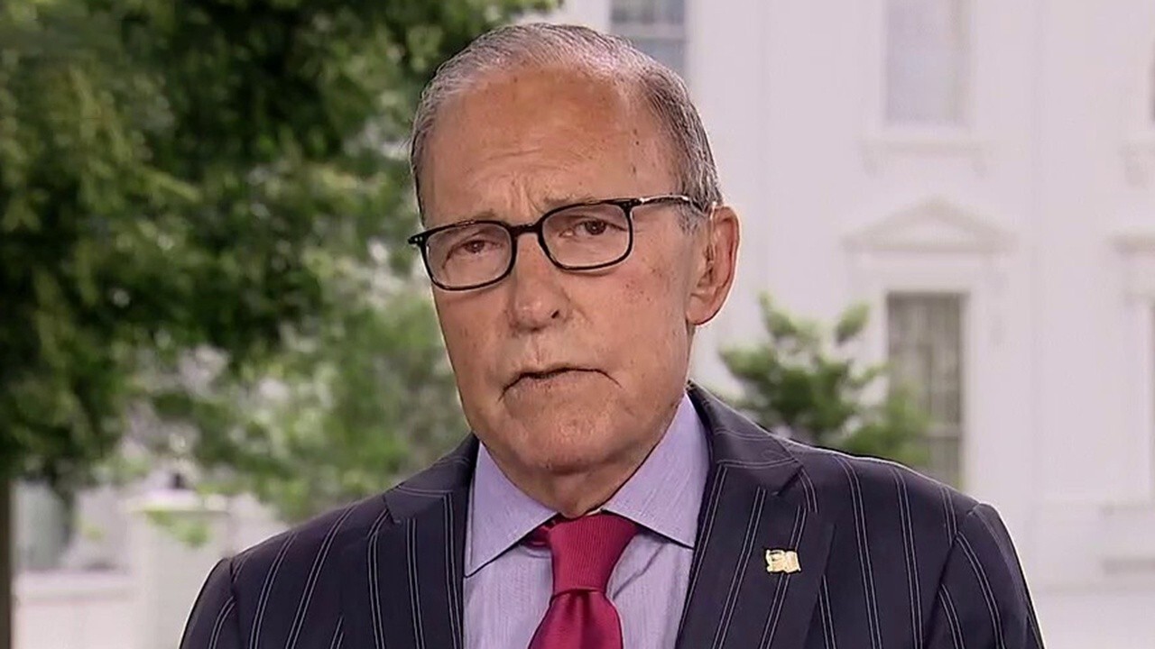 White House trade adviser Larry Kudlow reacts to concerns over a second wave of coronavirus and the impact on the economy.