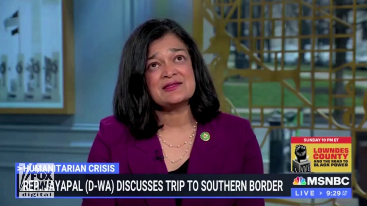 Rep. Jayapal says America would collapse without immigrants