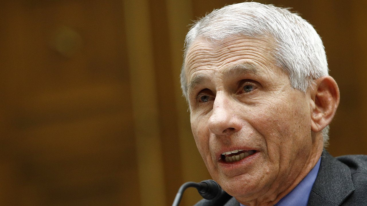 Fauci says US not set up for coronavirus testing like other countries ...