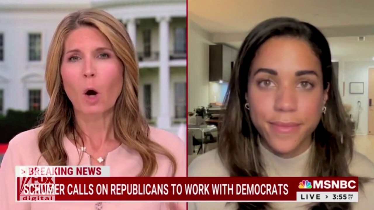 Nicolle Wallace claims Republicans were ‘arsonists’ trying to ‘burn down' American democracy