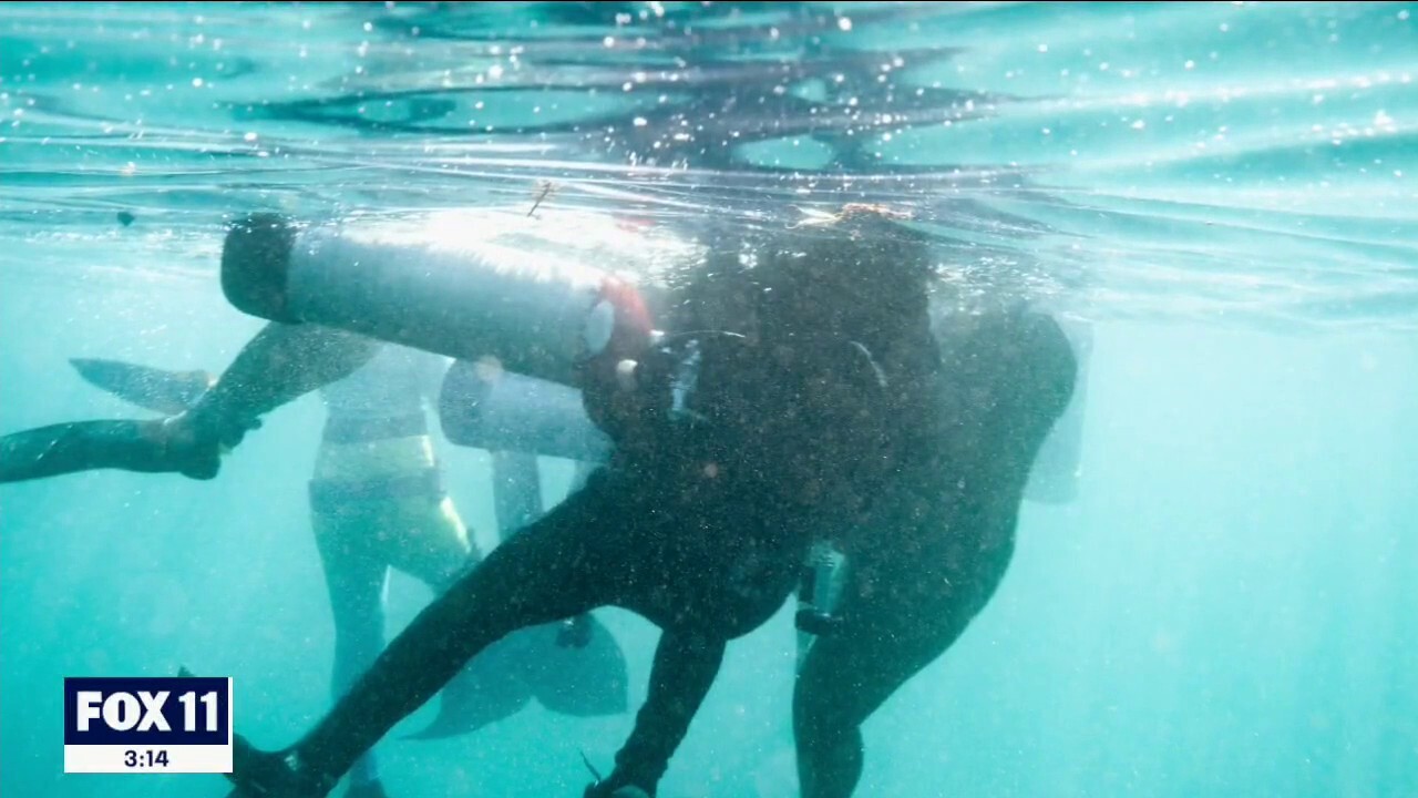 3 women in mermaid tails rescue scuba diver in California