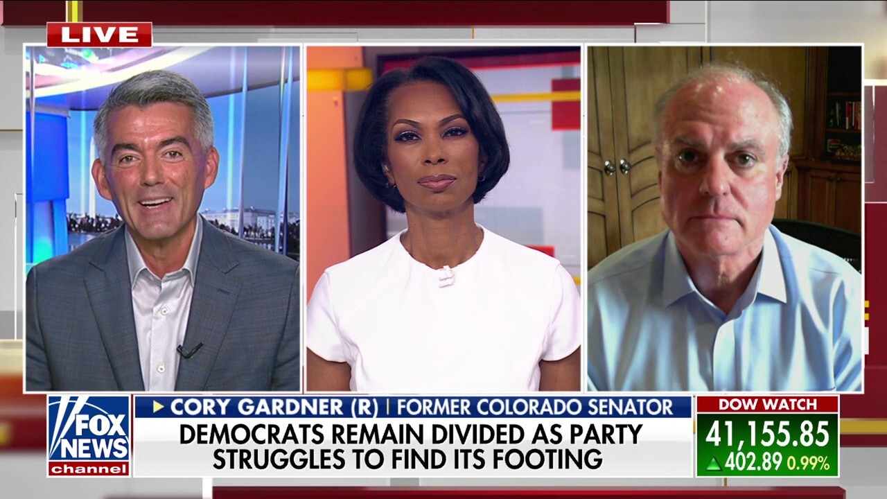 Democrats are united in 'stupid' ideas, says former GOP senator