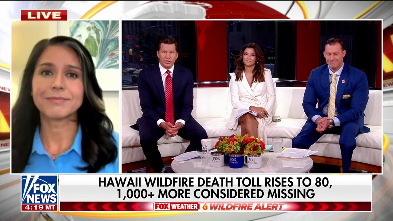 Impact on community from Maui wildfire 'hard to conceive of': Tulsi Gabbard