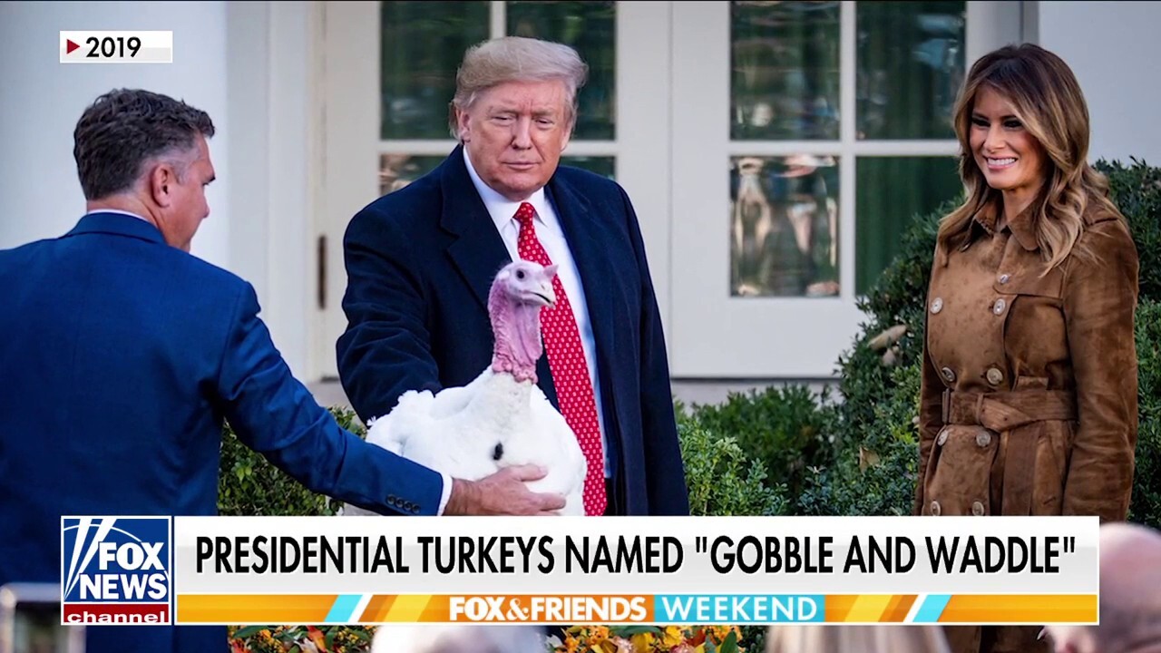 Turkeys set for presidential pardon, named 'Gobble' and 'Waddle' by FLOTUS poll