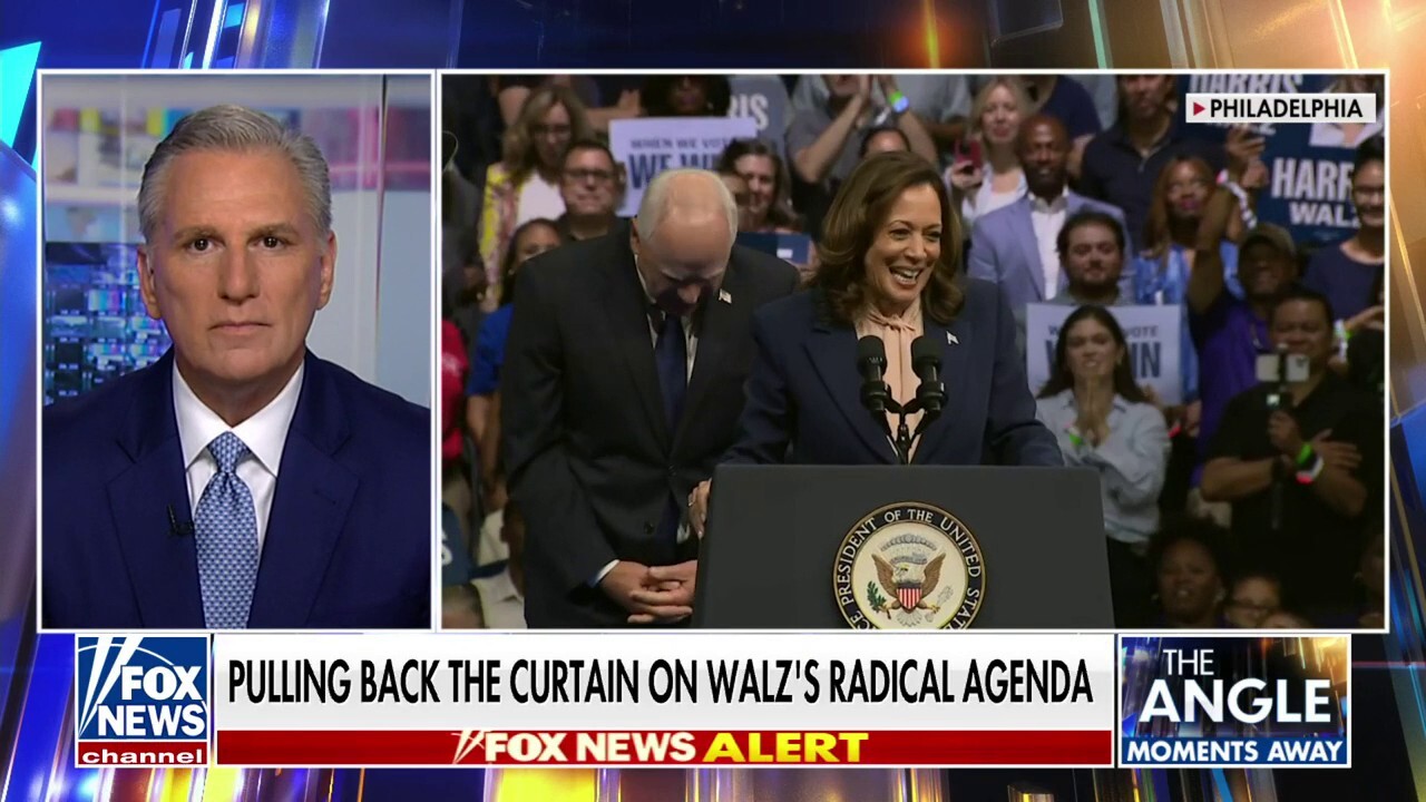 Kamala Harris' running mate is the 'choice that Ilhan Omar wanted': Kevin McCarthy