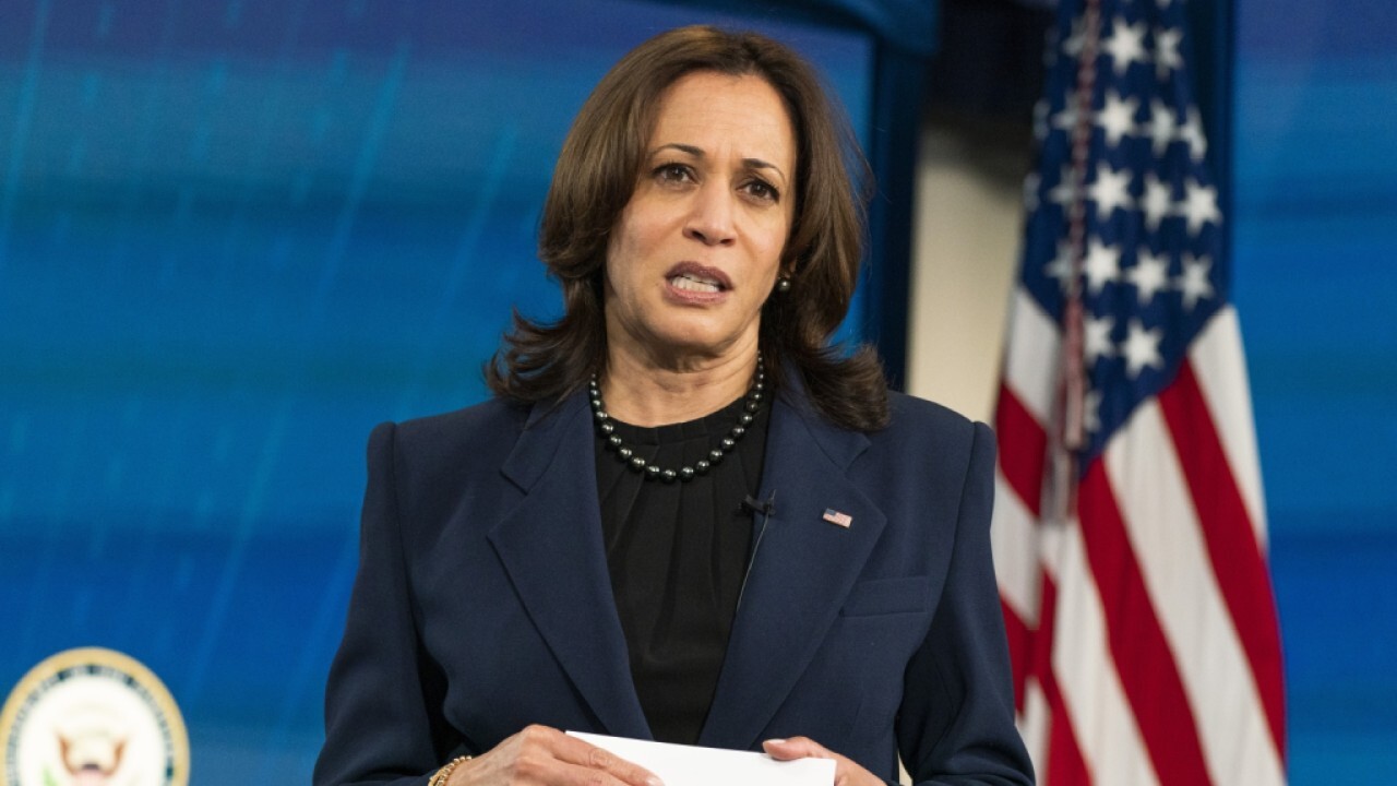 Former border agent: Kamala Harris 'showing up at wrong address' in Texas