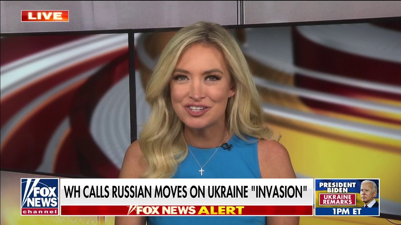 Kayleigh McEnany: Vladimir Putin is the Democratic Party's biggest 'supporter'