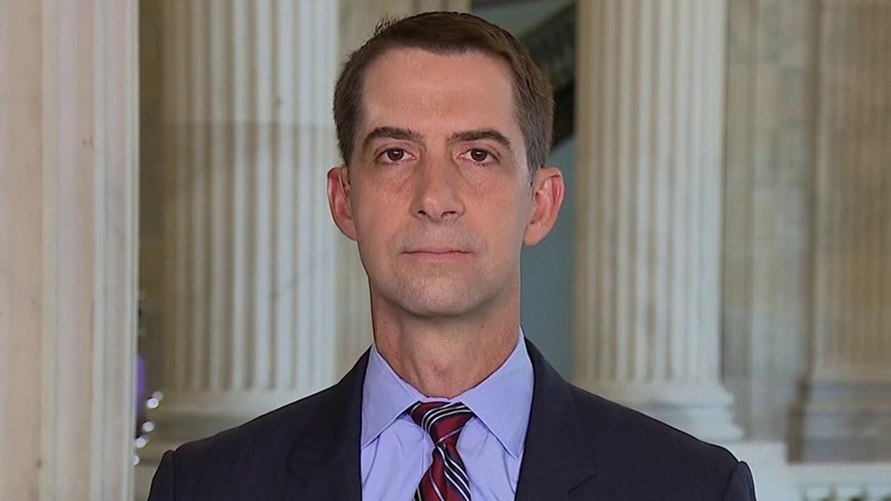 Sen. Cotton: Federal government can't stand for anarchists destroying its property 