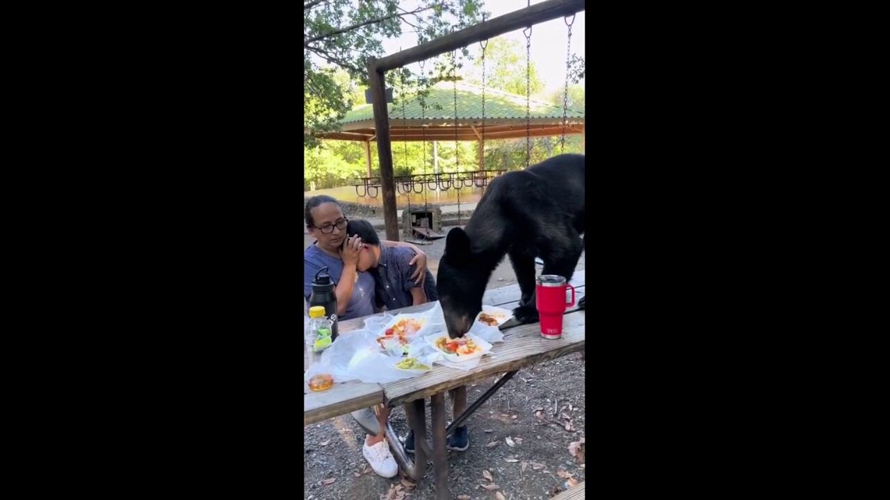 Mother shields son's face as bear devours food on picnic table in Mexico