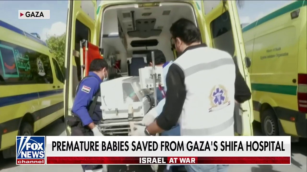 Premature babies evacuated, saved from Gaza's al-Shifa hospital