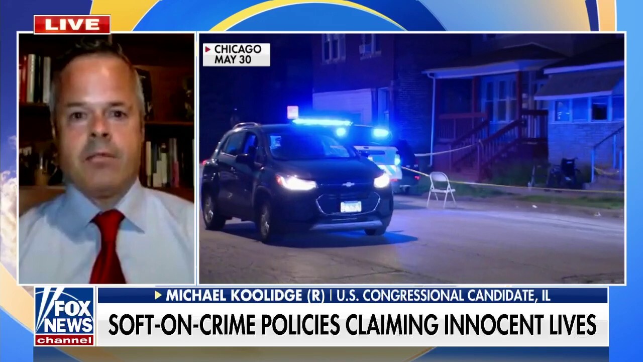 Illinois congressional candidate: ‘Unacceptable’ for politicians not to be serious about crime