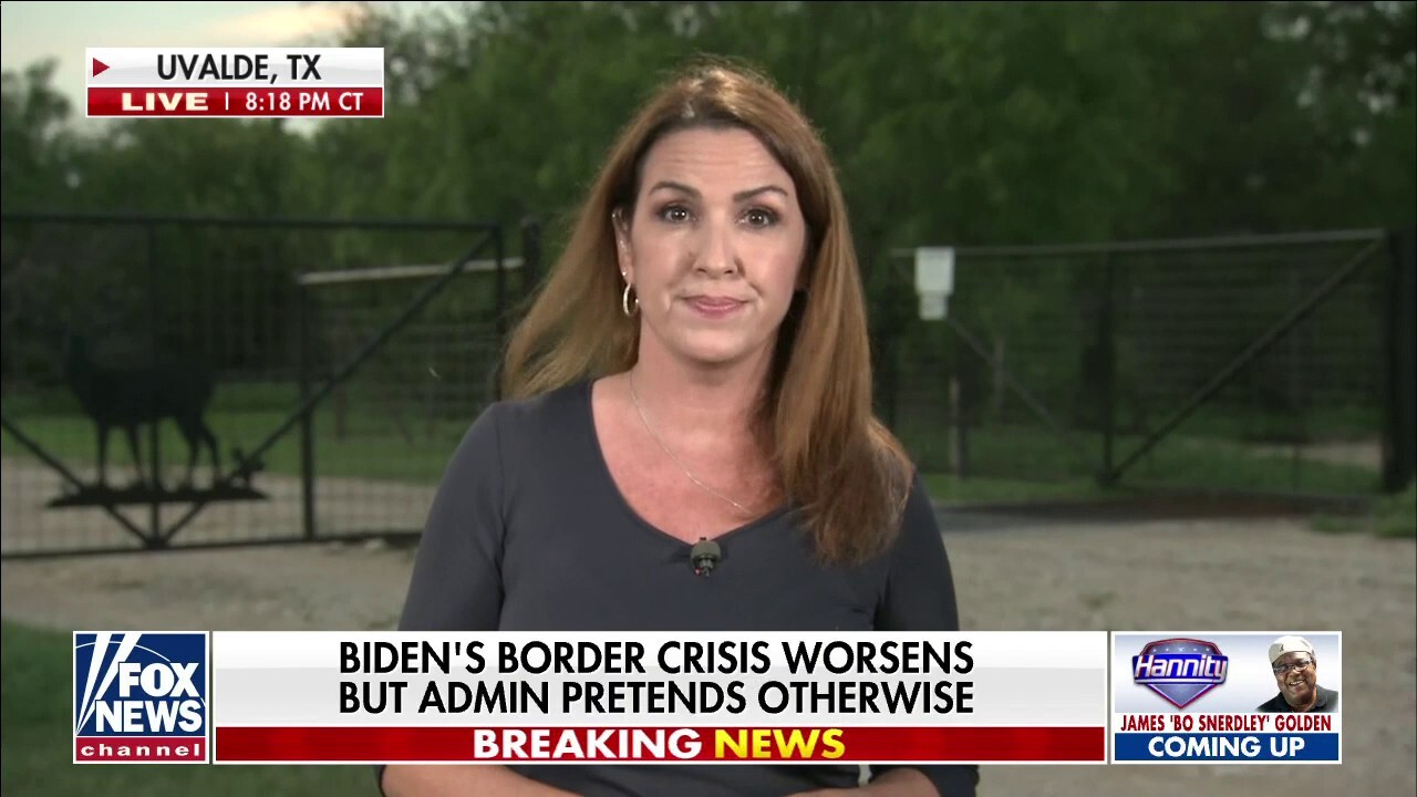 Democratic Texas border town mayor blasts Biden in Sara Carter exclusive: 'I'm not going to back down'