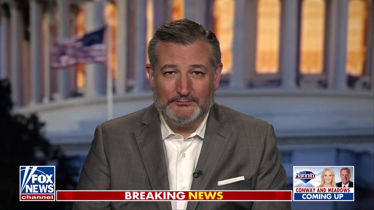 Trump's Cabinet is focused on change and results, Ted Cruz says