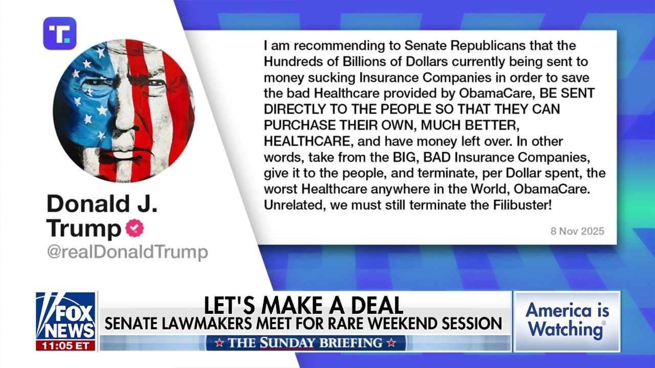 Trump proposes sending Obamacare subsidies as direct payments to Americans